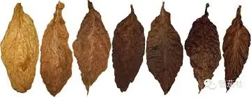 Export tobacco processing equipment - International distribution quality control systems
